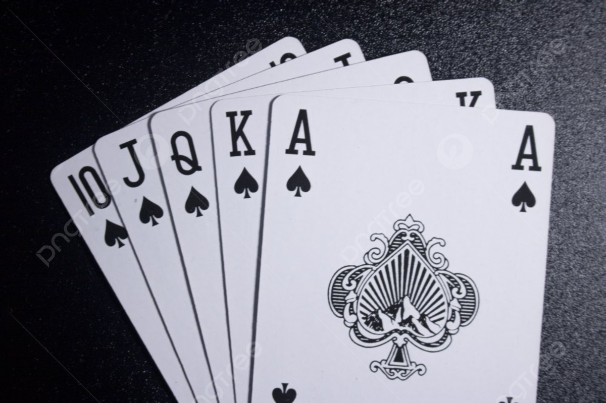 Slot Makinesi Seçiminde Rulmanların Rolü
